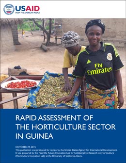 Rapid Assessment Horticulture Sector Guinea