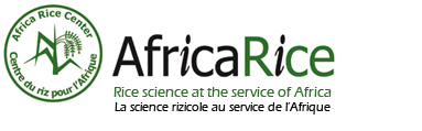 AfricaRica - Innovation platforms in rice value chains agrinatura
