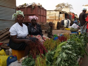 Plethora of nutritious leafy greens Healthy Diet in Africa agrinatura