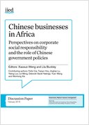 Chinese businesses in Africa Chinese government policies agrinatura
