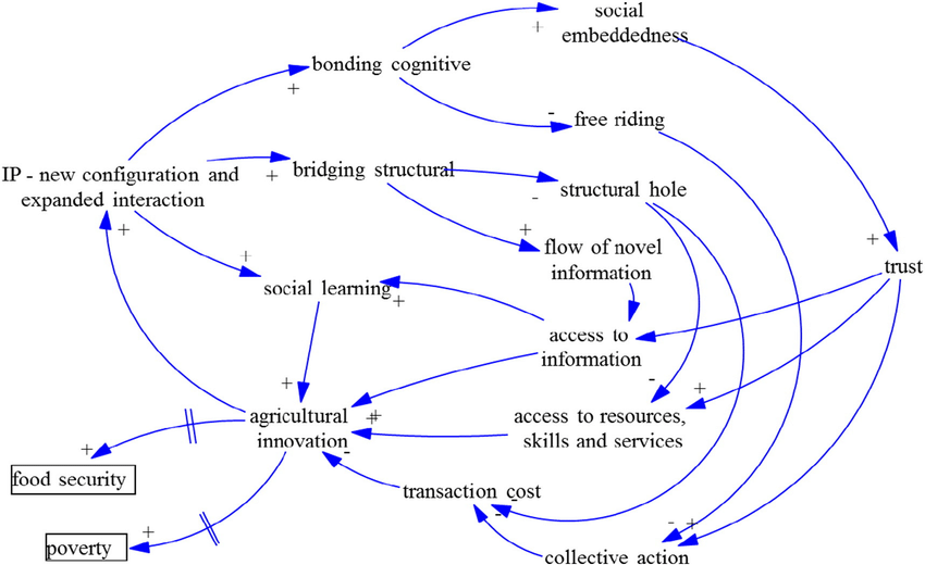 Fig. 2. Social impact mediated impact pathway (source: authors).  