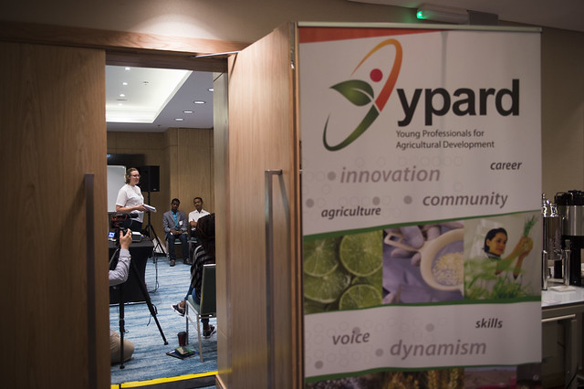 YPARD director