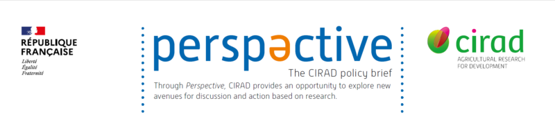 CIRAD perspective logo